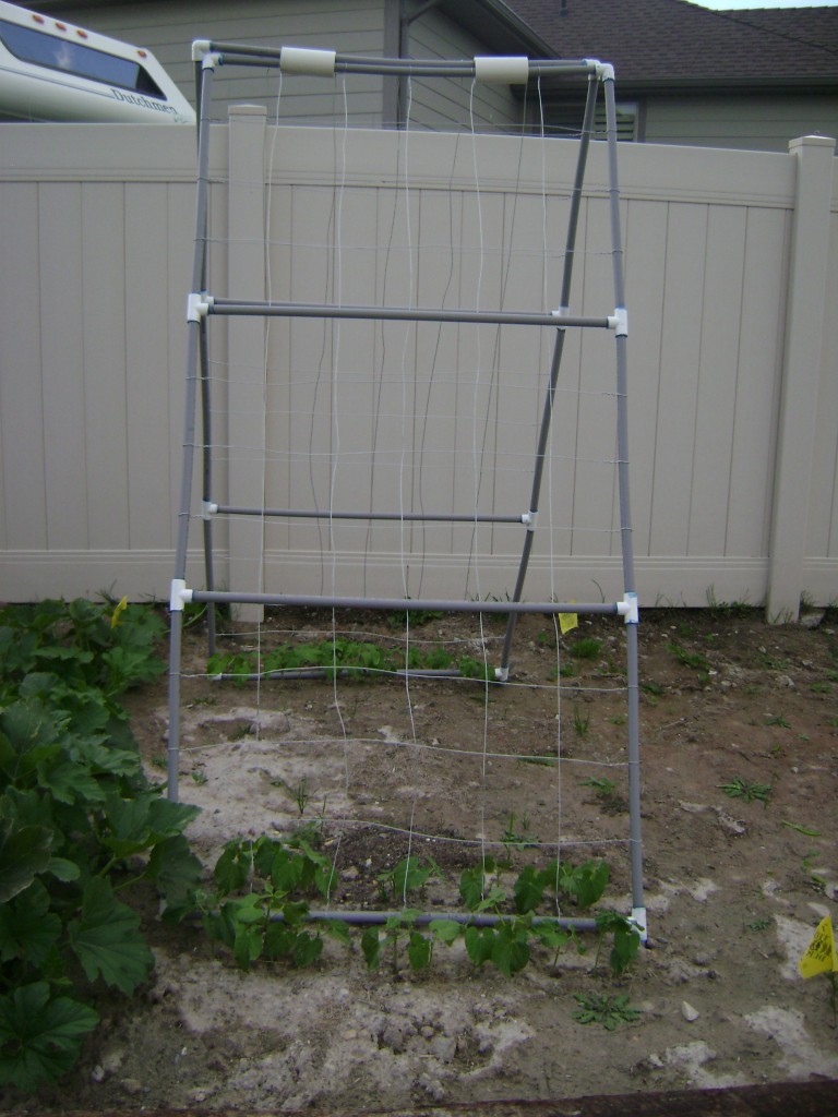 How to make a Garden Trellis out of PVC pipe Craft