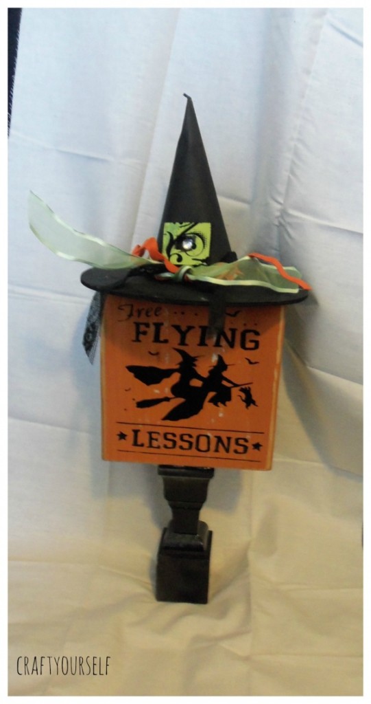 flying lessons