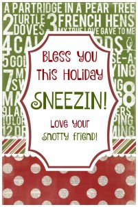 holiday sneezin tag friend