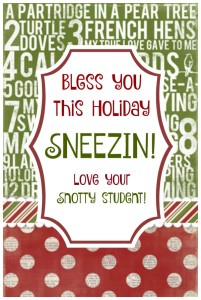 holiday sneezin tag student