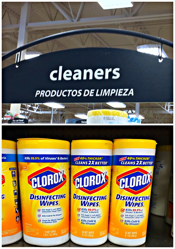 sickness survival store photo clorox